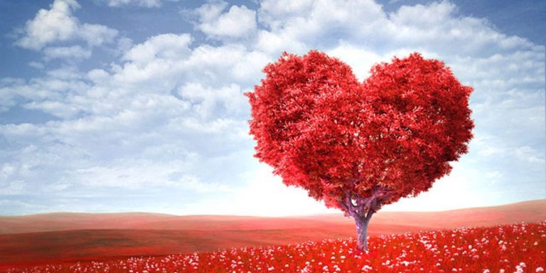 Why Love God ?