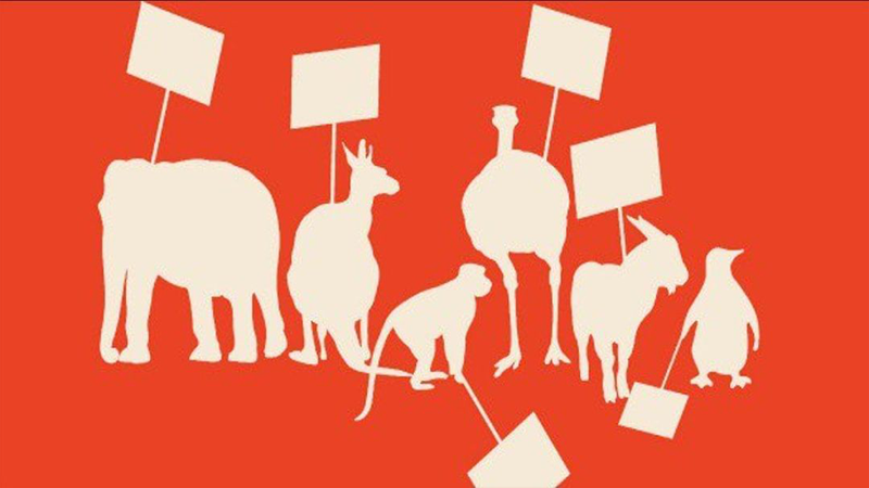 Animal Rights In Islam