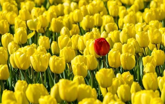 Prophethood in Islam
